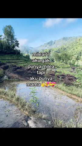 Mama no:🥇