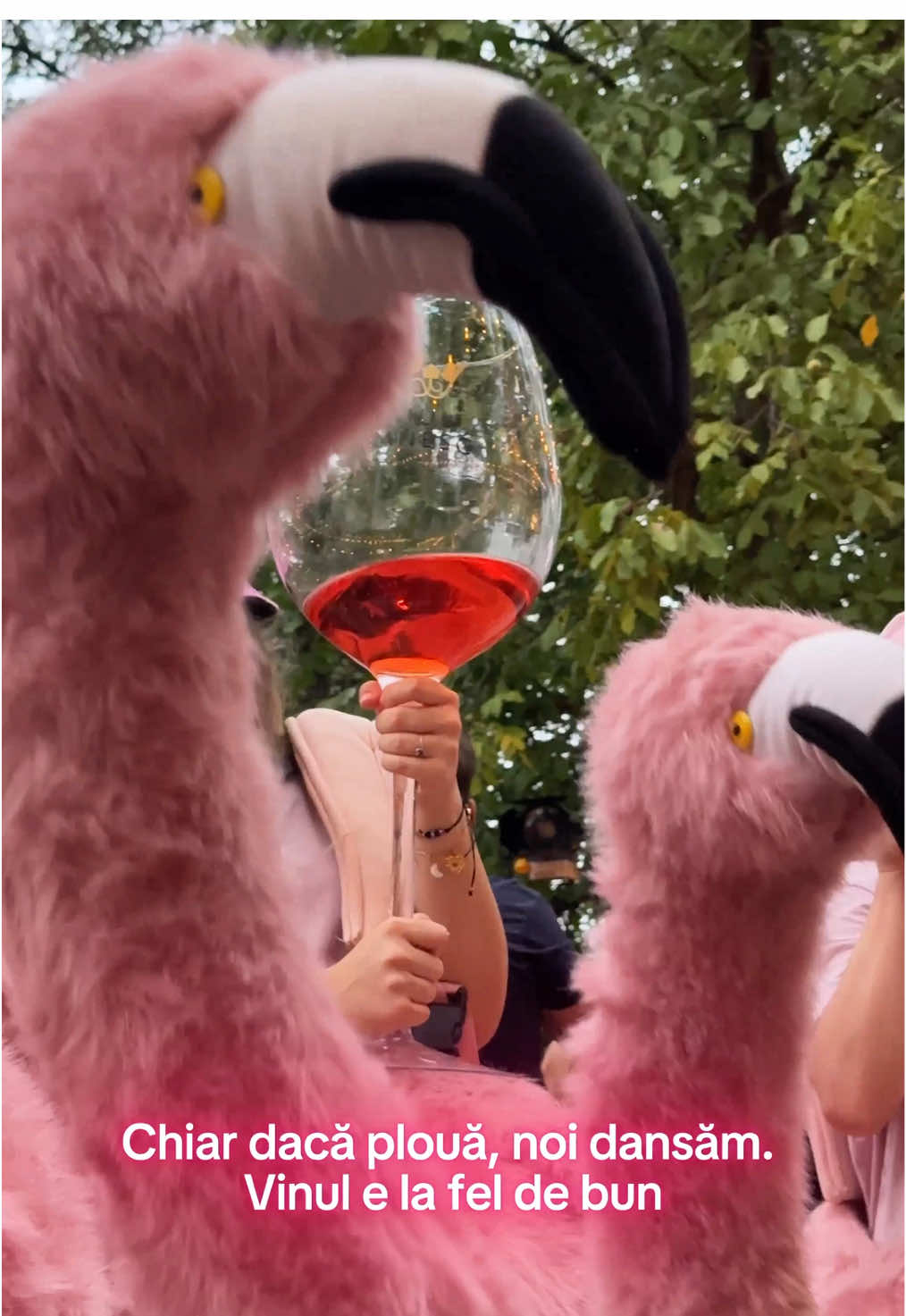 Și cu și fără ploaie, vinul același gust are! 🍷 #365deziledevara #verite #romania #fyp #DigitalDivas