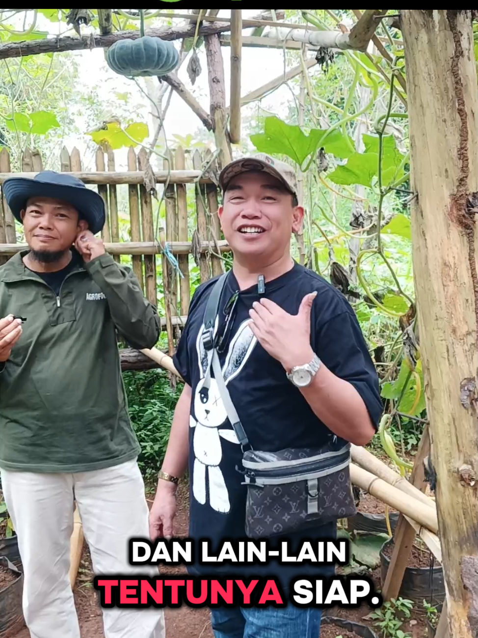 #petani #petaniindonesia🇮🇩🇮🇩🇮🇩🌿🌿 #lahansuburpetanimakmur #bgn #bgnAgripreneur 