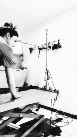 Ma meilleure amie ♥️  Scarlett #dog #amour #chiendechasse #mercilavie #toilettage 