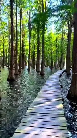 سلاما لمن راعوا الخواطر#جبرالخواطر #مشهد_مؤثر💔😢 #عبارات_حزينه💔 #