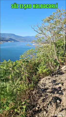 #ELŞAD KƏLBƏCƏRLİ #fy #kesfet #önəçıkar 