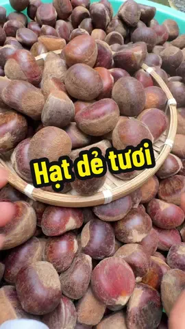 Hạt dẻ tươi ngọt thơm ngon#supin #xuhuong #tiepthilienkettiktokshop #hatde 