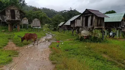 chòi làng kon rẫy măng đen 