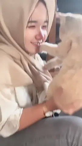 di kokop gak tu 😭 #kucing #tiktok #lucu 