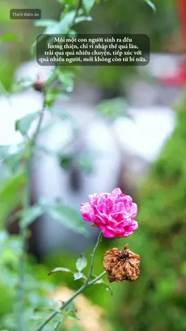 Chùa phật quang - Thôn Tân Phong  - Xã Tân Thanh - Tỉnh Ninh Bình ( Hà Nam Cũ ) #thichthienan 