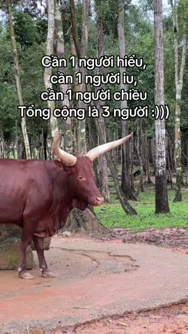 #GreenCreator #VinWonders #dulich #viral #xuhuong 