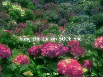 Đúng rồi ta nói nàng đó......nàng cho tui xin 500k nhé !.....#xh #fyp #vairal #500k #quangvu326 