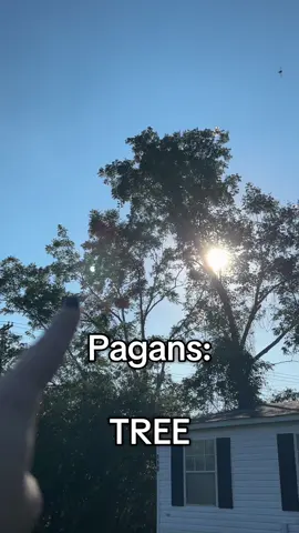 apollo was blinding me on my morning walk so i thought i'd take advantage...but the trees got in the way while recording💔🥀           #pagan #paganism #religion #eclecticpagan #pantheist 