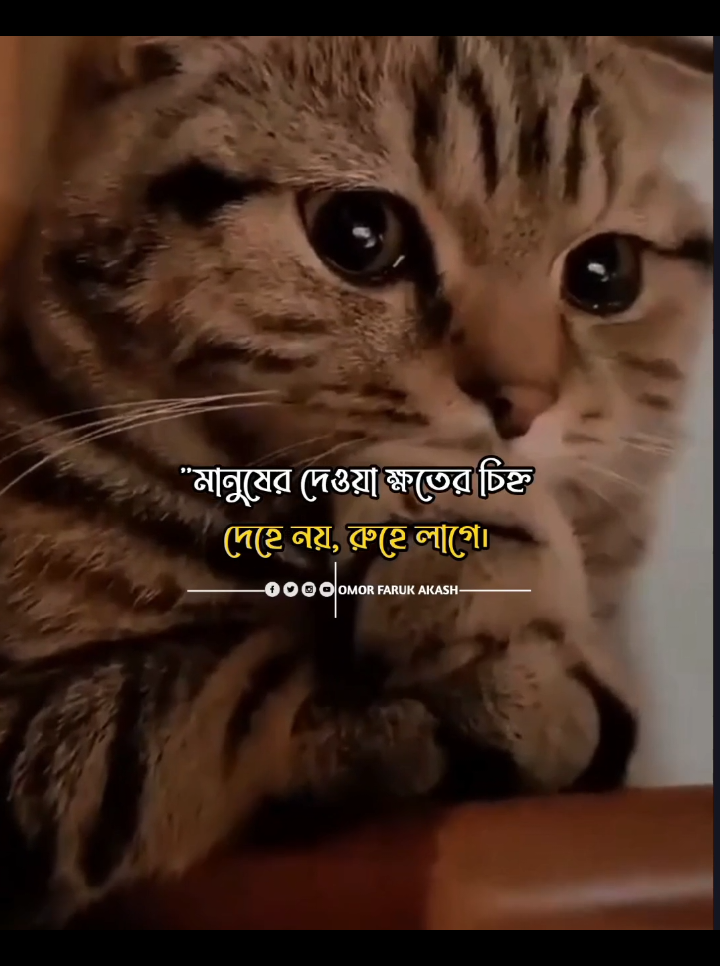 মানুষের দেয়া ক্ষতের চিহ্ন দেহে নয়, রুহে লাগে..!❤️‍🩹🥀 #foryou #islamicmotivation #BanglaIslamicStatus #AlHidayah #Omor_faruk_akash 