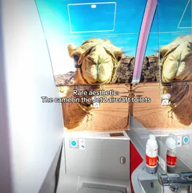 Rare because it's not in every bathroom... you're a lucky one if you spot him 🐪 #Jet2 #Jet2holidays #RareAesthetic #Trend #Trending #Funny #Viral #Foryou