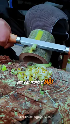 Hãy im lặng tới khi thành công #trithuc #phattrienbanthan 