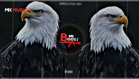ARABIC REMIX MUSIC 🎶🔥☠️ USE HEADPHONES🎧 MK BOOST MUSIC🎶🎧 #bass #bassbosted #aveeplayer #teranding #1millionaudition 