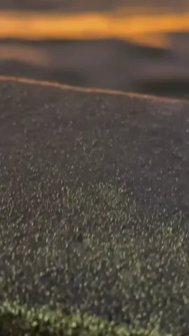 #ماثر_فيي #الرائع #فضل_شاكر 