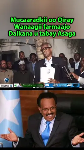 Farmaajo shalay kudarsi ayaa lagu heystay Lkn Hassan Sheekh maanta dhul ayaa lagu heystaa!#somaliatiktok #foryoupage❤️❤️ #foryou #CapCut #viralvideos 