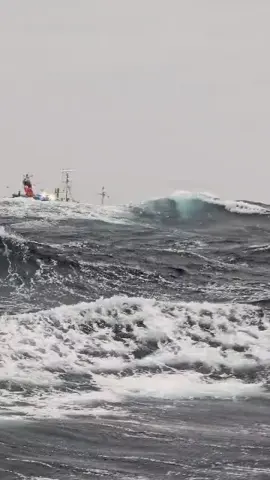 Bismillaahi majreehaa wa mursaahaa inna robbii laghofuurur rohiim.#kulimiliter⚓ #fyp 