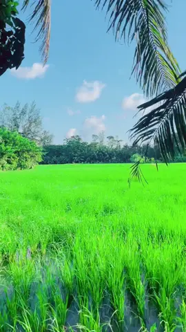 আবাহাওয়া😘🫶#fyppppppppppppppppppppppp #foryou #plzunfrezemyaccount #fyp #vairalvideo 