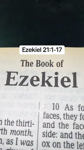 #TheLordJesusChrist #Messiah #GospelKJV #ScriptureReadingFYP #TheSonOfDavid 