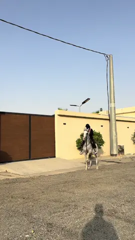 الله يبارك لهلها ماشاءالله ♥️@rasan.aladiat 