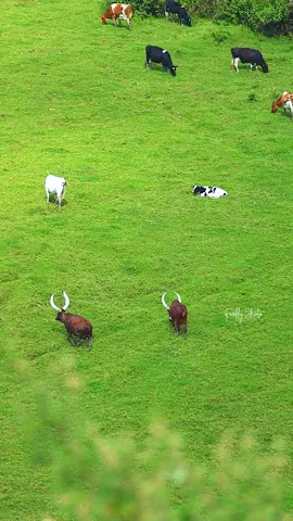 🥰❤️❤️❤️