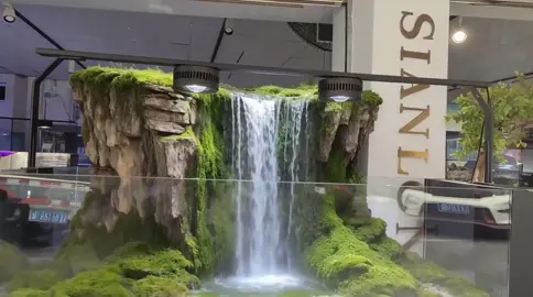 Layout thác nước bán cạn #aquascape #thuysinh #aquarium #theaquacorner #fishtank 