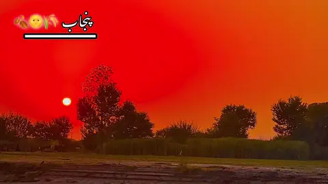 Part384/view❤️‍🩹🌾🌞🍂🌸” #foryoupage #viralvideo #ساڈا_پنجاب🍁🥀 #dontunderreviewmyvideo @TiktokPakistanOfficial #pindawale 