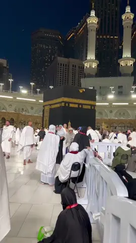 #creatorsearchinsights #foryoupage #fyp #foryoupage #foryoupage 