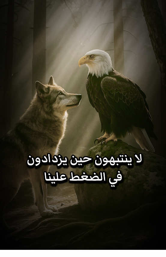 لا تسمح للضغوط أن تكسرك، وضع حدودًا تحمي نفسك، فالراحة ليست ضعفًا بل قوة…؟ #اقتباسات #تطوير_الذات #علم_النفس #كلمات_من_ذهب #تحفيزات_إيجابية 