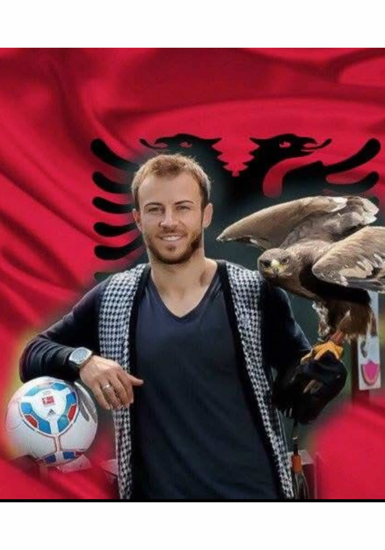 Alban Meha del kundër organizimit të Evropianit Shqipëri - Serbi dhe shkakton “sulm brutal ndaj Serbisë” 🚨