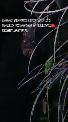 #panglimamalamexplore #tiktoklive #fyp #penampakanhantu #panglimamalamlive  @꧁༒☬ ℕ∆ ☬༒꧂ @KKS.Riko Luis @may love bawelll ☺ @berasbintang @✨Awell✨ @gemoyhot88 @💜❤️NK❤️💜 @﷽𝐸𝓁𝓁𝓎 ℘ꫀׁׅܻ݊ɑׁׅꭈׁׅᥣׁׅ֪﷽꧂ @WAHYU @putune.mbahdarmo 
