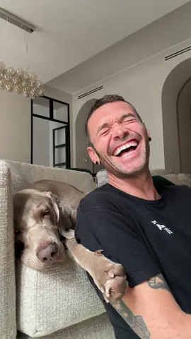 Cani 🐶 volanti ✈️  #cane 