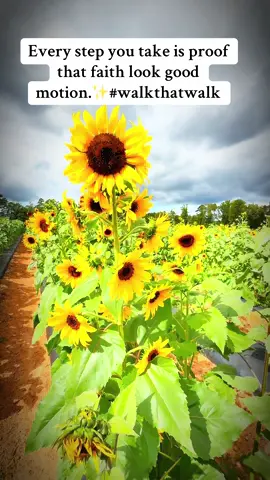 Walkin’ through fields of favor 🌻… every step hittin’ like sunshine. #fyp 