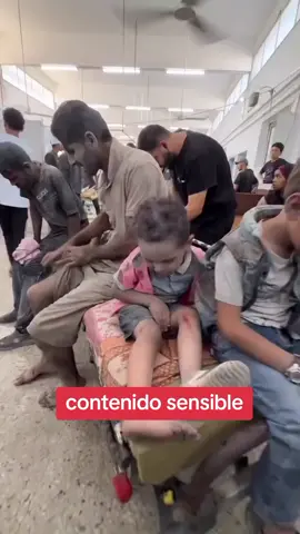 Maldito Israel #freepalestine🇵🇸❤️ #viralvideos 