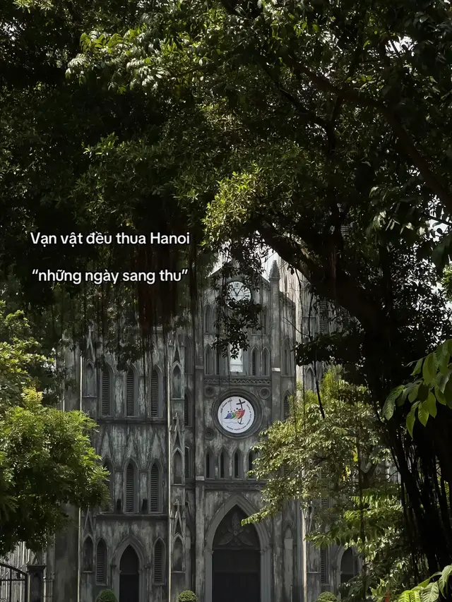 Thu đến rồi, đi đón Thu nhé 🙂‍↔️ #hanoi #tronlamdichill #muathuhanoi #hanoiautumn 