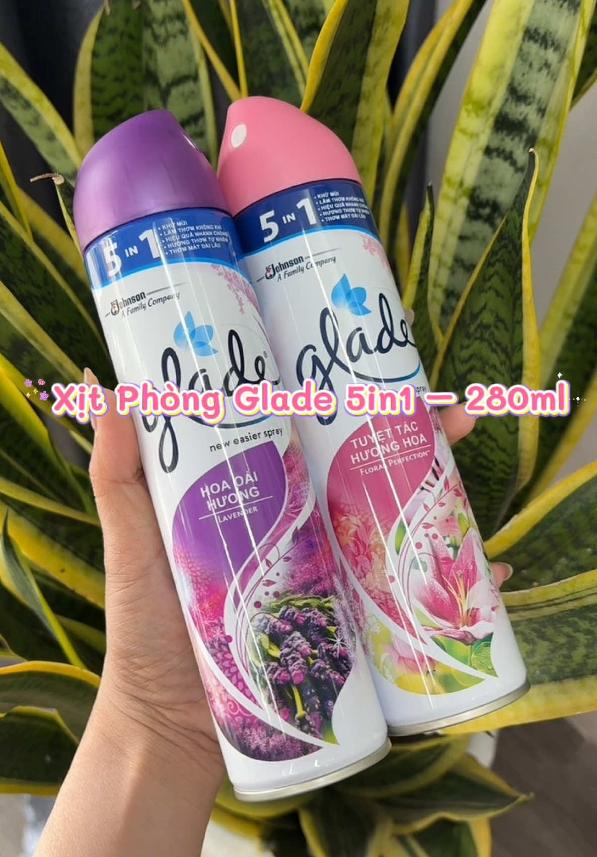 🌸 Xịt phòng Glade 5in1 – 280ml 🌸 Nhà thơm mát liền tay – chỉ một lần xịt là hương tỏa đều khắp phòng. 🪻 Thành phần tự nhiên, an toàn sức khỏe 🍃 Khử mùi nhanh – giữ hương thơm lâu 🏠 Dùng được cho phòng khách, phòng ngủ, bếp, ô tô #xitphong #glade #lavender #huongcohoa #hanhxaigibando 