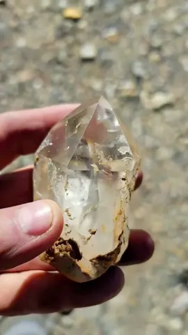 When you own a gold mine but love the other things you find while walking around. This crystal is absolutely incredible—what a find today! #crystals #goldmine #goldbay #coloradoquartzmine