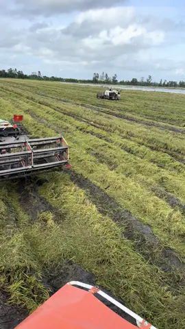 Đại hội cuối đồng @Hữu Nghĩa @linh 105 