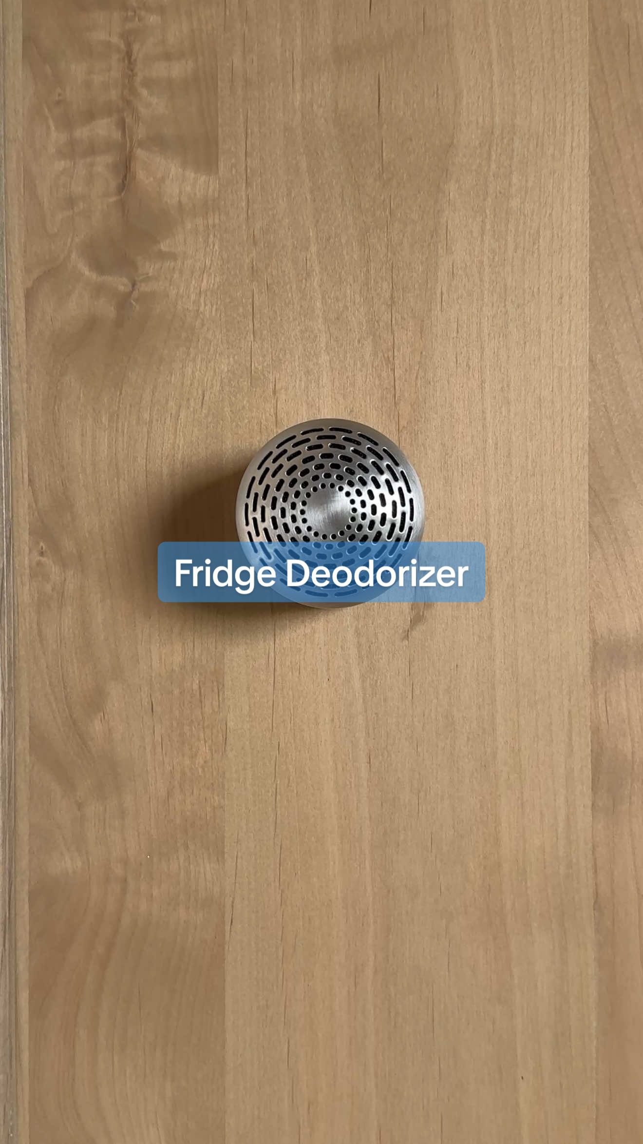 No odors left behind? 🤢 Find this under ✨Kitchen Favorites✨ on my website. #amazon #KitchenHacks #fridgegoals #foodstorage #salfinds 