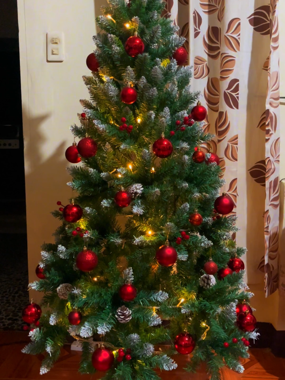 ✨ Sua árvore de Natal não pode passar despercebida! 🎄 Com nossas bolas natalinas, você transforma sua decoração em um verdadeiro espetáculo de brilho e elegância – sem gastar muito. 👉 Qual cor combina mais com a sua árvore: vermelha, dourada ou prata? Compartilhe esse vídeo com alguém que precisa dessa inspiração natalina ✨🎅 🛒 Garanta já o seu kit e deixe sua casa pronta para receber o espírito do Natal! -- #DecoraçãoDeNatal #ÁrvoreDeNatal #PromoçãoNatal #EnfeitesNatalinos #NatalEncantado 