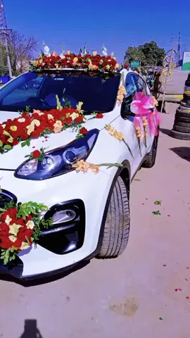 ،💯😀💯M Faizan Flower house 💯😀💯