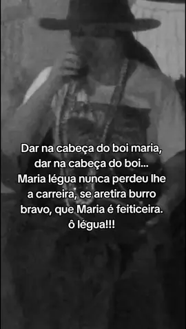 ô légua 🐂 🤎 #xetrua #marialegua #fernandodeiemanja #povodelegua #marialeguabugidatrindade  . . . . . . . . . . . @fernandodeiemanja 