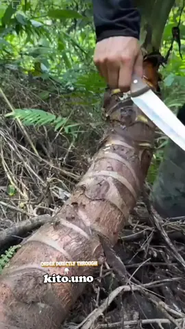 🌿 Dive into quick farming hacks with our bite-sized tips #farming #farm #plants #grafting 