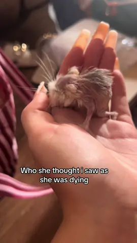 my little baby i miss u sm 😔 #fyp #oldesthamster #foryou #baldhamster #hamster 