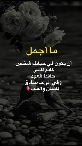 #اقوال_وحكم_من_الواقع #اكسبلورexplore #سوريا_تركيا_العراق_السعودية_الكويت #