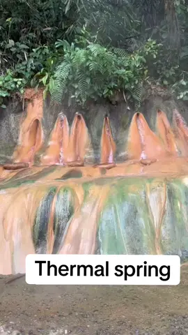 Thermal spring flowing 🌿💧 #nature
