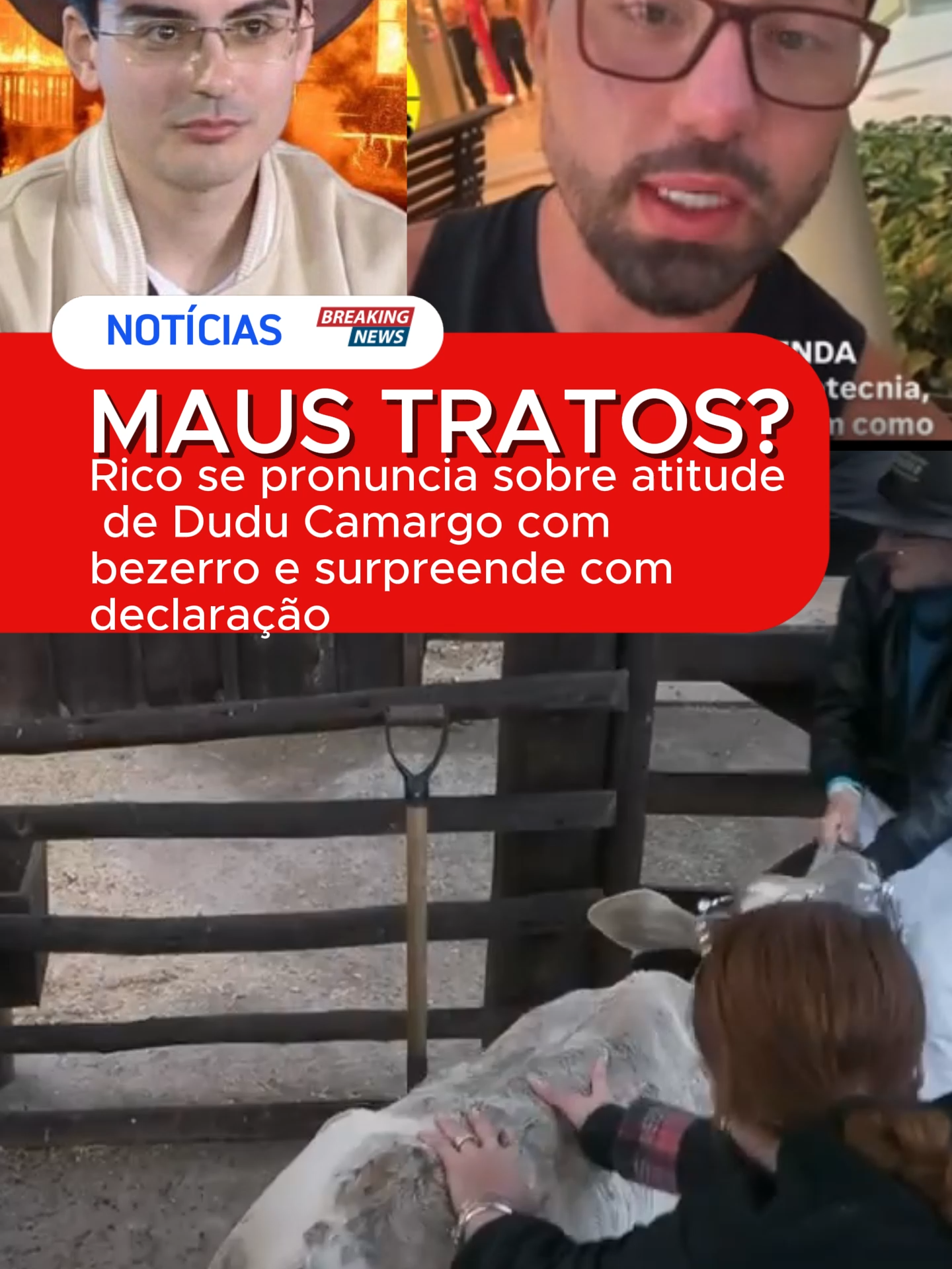 MAUS TRAT0S? Rico se pronuncia sobre atitude de Dudu Camargo com bezerro e surpreende com declaração em A Fazenda 17 #afazenda17   #afazendaaovivo #Afazenda