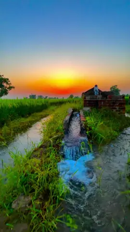 #🍂میرا-سونا_ پنڈ_لنگے-ضلع -سیالکوٹ🌅🌾🍃❤️#shabanhaider1000✅🌱 #foryoupage #unfrezzmyaccount 
