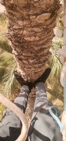 اللهم صلي وسلم على نبينا محمد ❤️❤️❤️❤️ 🌴🌴🌴 #الجنوب #fypシ゚ #مشاهير_تيك_توك_مشاهير_العرب😂😂♥ #قران 