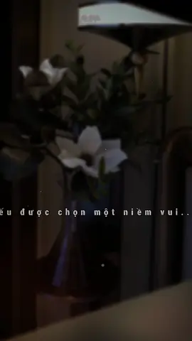 Nếu được chọn một niềm vui..#nhachaymoingay #nhactamtrang #cha #me #stt 