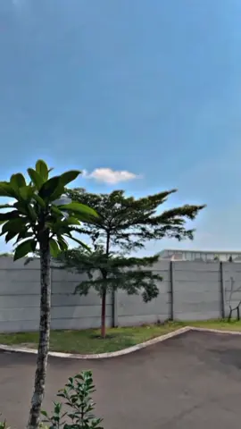 mood ripain 25% mood coret